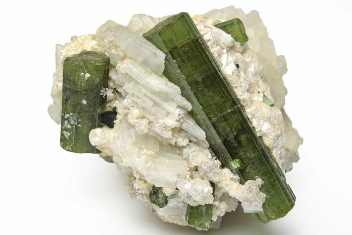 Verdelite Tourmaline, Albite & Muscovite Association - Brazil #217530